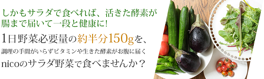 nicoの野菜で食習慣を見直してみませんか?1日野菜必要量の約半分150gを、調理の手間がいらずビタミンや生きた酵素がお腹に届くnicoのサラダ野菜で食べませんか?