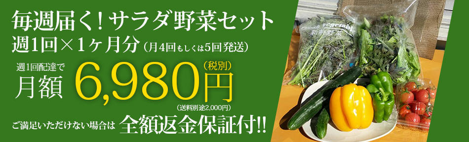 毎週届く! サラダ野菜セット週1回×1ヶ月分(月4回もしくは5回発送)週1回配達で月額わずか6,980円 しかも今なら全額返金保証付き!!