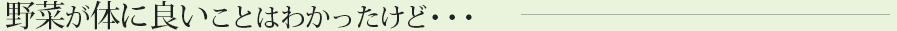 野菜が体に良いことはわかったけど・・・