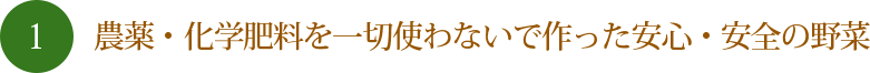農薬・化学肥料を一切使わないで作った安心・安全の野菜