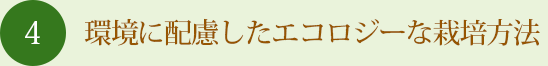 環境に配慮したエコロジーな栽培方法